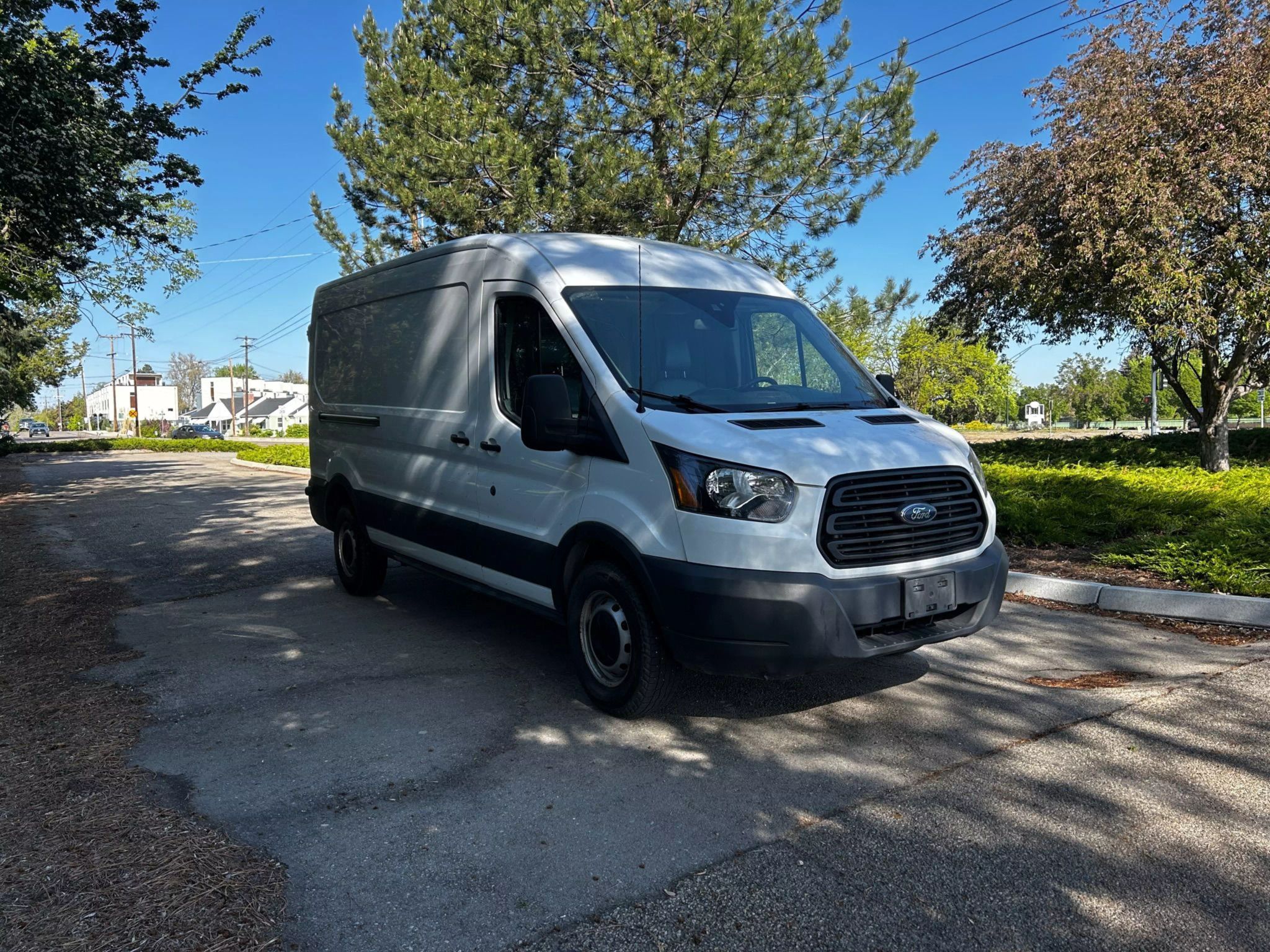 IMG_1746729977478_001